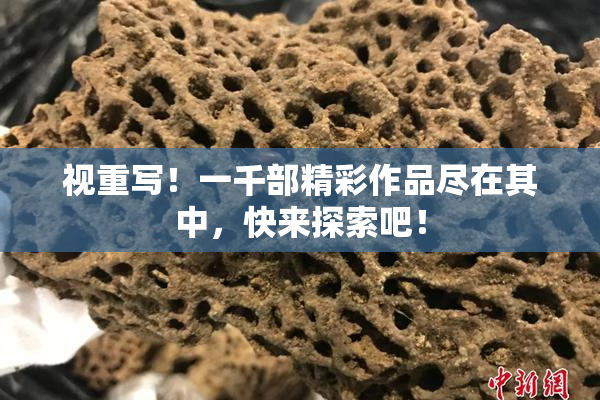 视重写！一千部精彩作品尽在其中，快来探索吧！