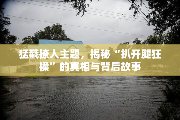 猛戳撩人主题，揭秘“扒开腿狂揉”的真相与背后故事