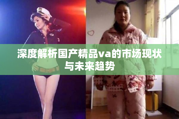 深度解析国产精品va的市场现状与未来趋势