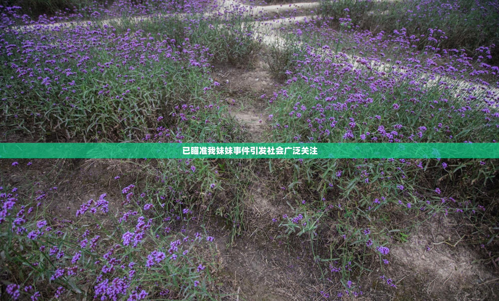 已瞄准我妹妹事件引发社会广泛关注