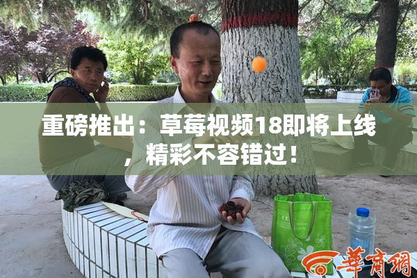 重磅推出：草莓视频18即将上线，精彩不容错过！