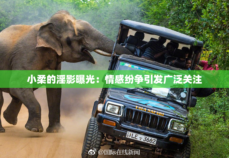 小柔的淫影曝光：情感纷争引发广泛关注