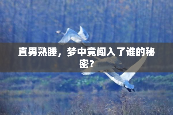 直男熟睡，梦中竟闯入了谁的秘密？