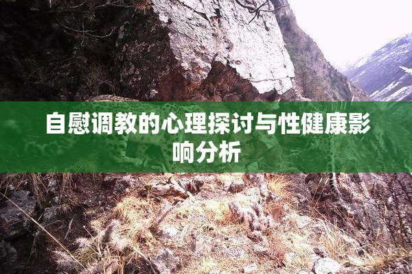 自慰调教的心理探讨与性健康影响分析