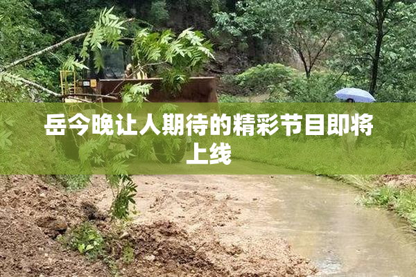 岳今晚让人期待的精彩节目即将上线