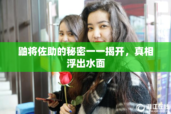 鼬将佐助的秘密一一揭开，真相浮出水面
