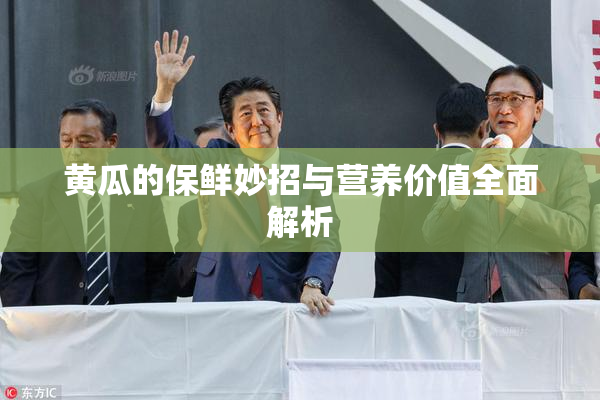 黄瓜的保鲜妙招与营养价值全面解析