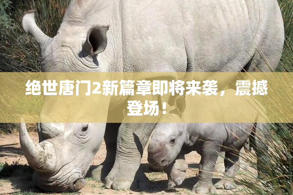 绝世唐门2新篇章即将来袭，震撼登场！
