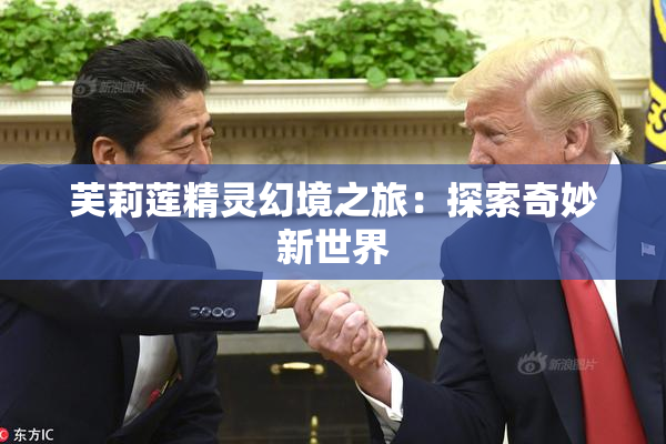 芙莉莲精灵幻境之旅：探索奇妙新世界