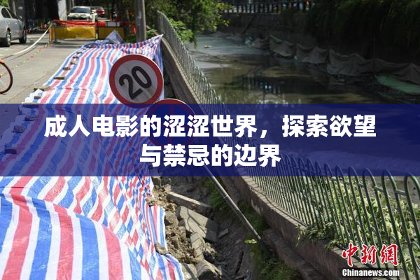 成人电影的涩涩世界，探索欲望与禁忌的边界