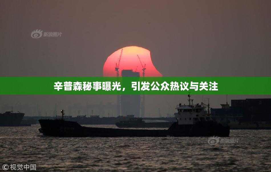 辛普森秘事曝光，引发公众热议与关注