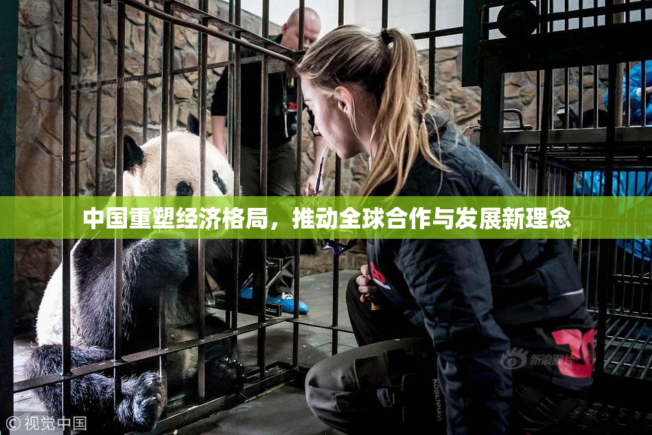 中国重塑经济格局，推动全球合作与发展新理念