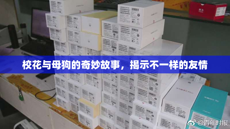 校花与母狗的奇妙故事，揭示不一样的友情