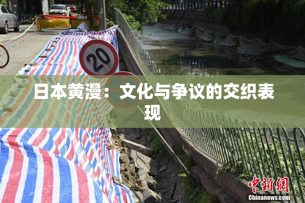 日本黄漫：文化与争议的交织表现