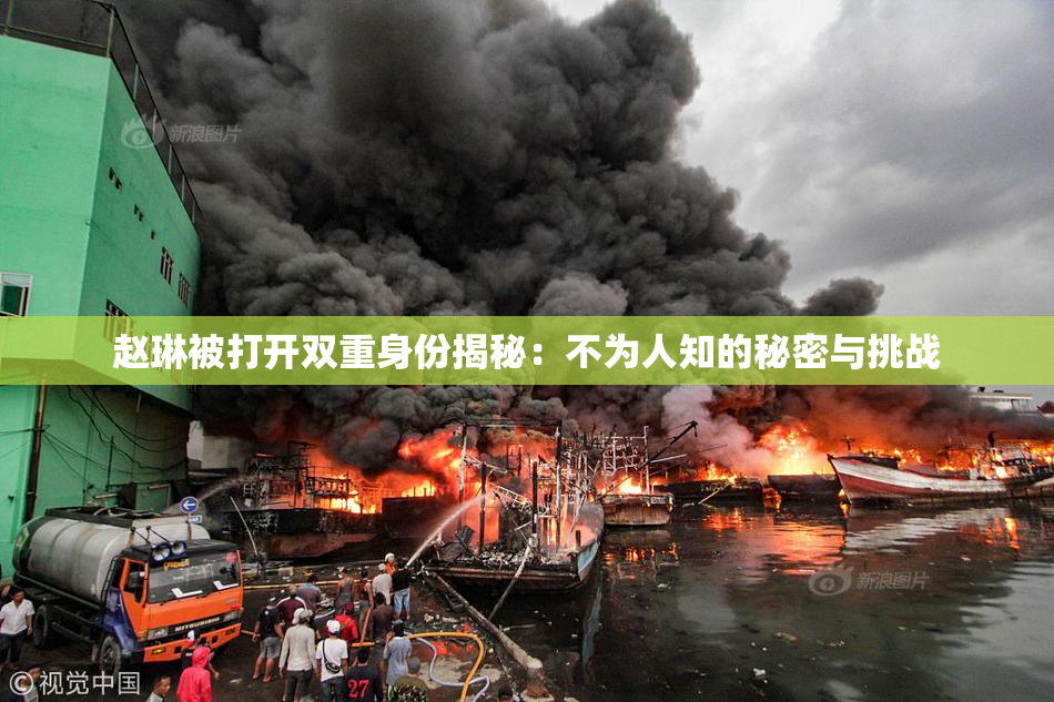 赵琳被打开双重身份揭秘：不为人知的秘密与挑战