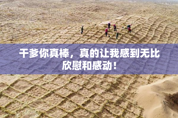 干爹你真棒，真的让我感到无比欣慰和感动！