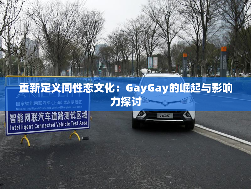 重新定义同性恋文化：GayGay的崛起与影响力探讨