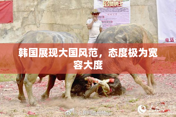 韩国展现大国风范，态度极为宽容大度