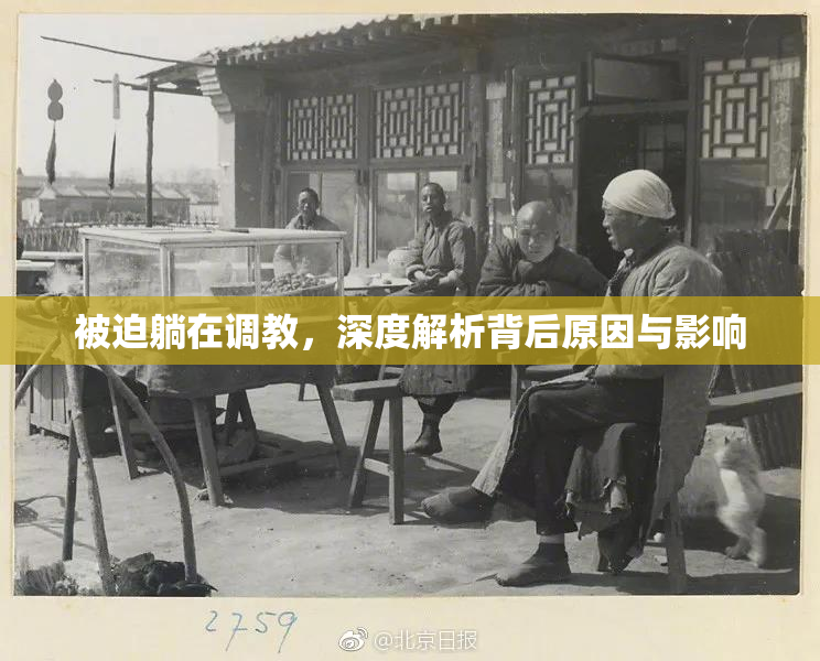 被迫躺在调教，深度解析背后原因与影响