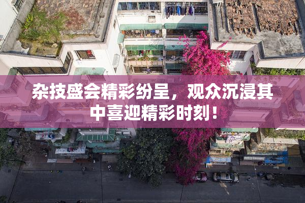 杂技盛会精彩纷呈，观众沉浸其中喜迎精彩时刻！