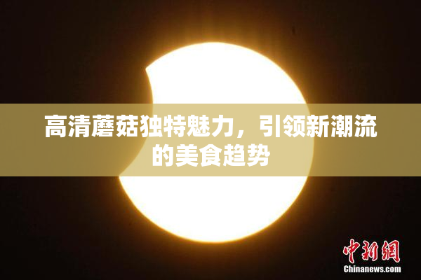 高清蘑菇独特魅力，引领新潮流的美食趋势