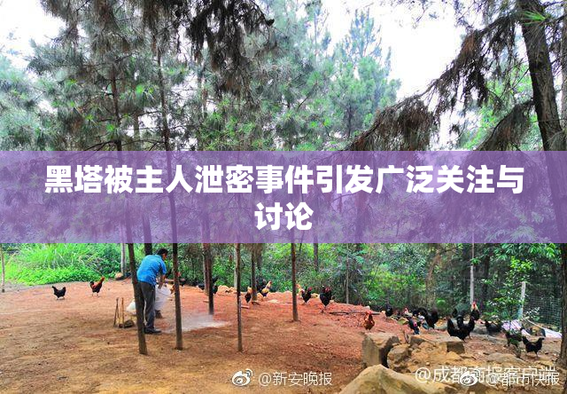 黑塔被主人泄密事件引发广泛关注与讨论