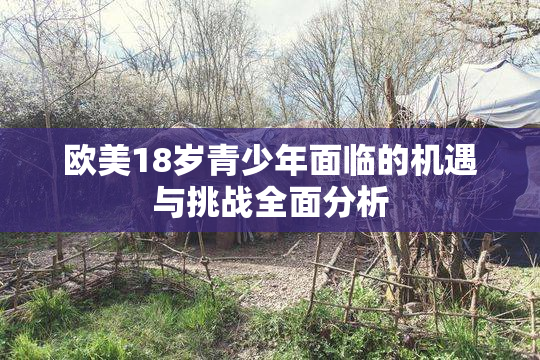 欧美18岁青少年面临的机遇与挑战全面分析