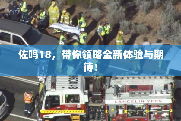 佐鸣18，带你领略全新体验与期待！