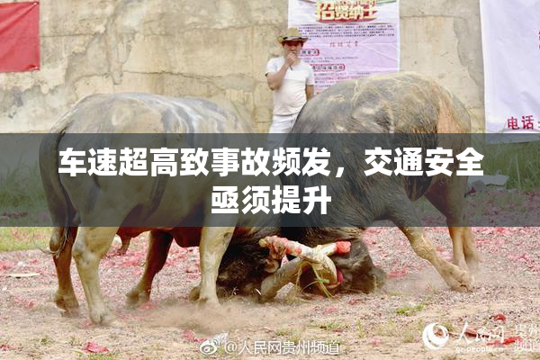 车速超高致事故频发，交通安全亟须提升