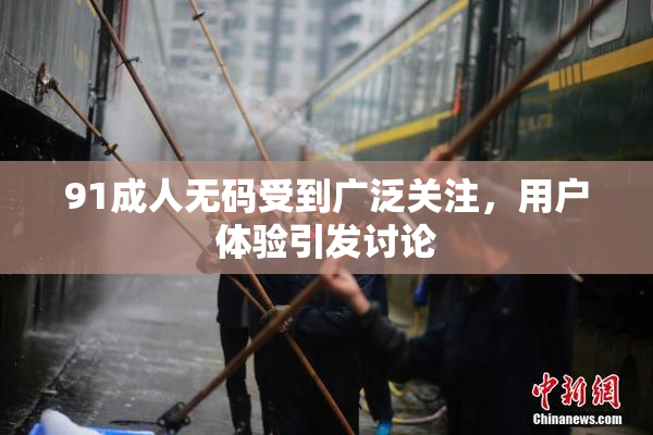 91成人无码受到广泛关注，用户体验引发讨论