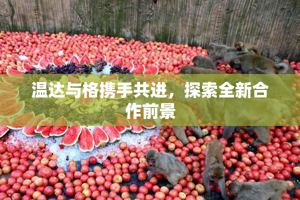 温达与格携手共进，探索全新合作前景