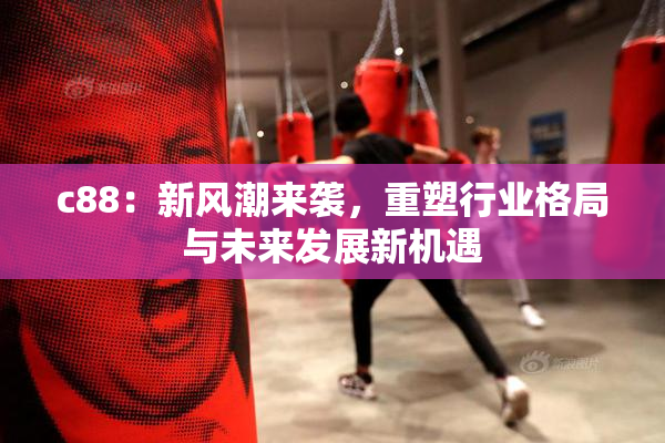 c88：新风潮来袭，重塑行业格局与未来发展新机遇