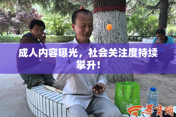 成人内容曝光，社会关注度持续攀升！