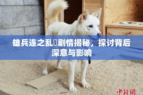 雄兵连之乱婬剧情揭秘，探讨背后深意与影响