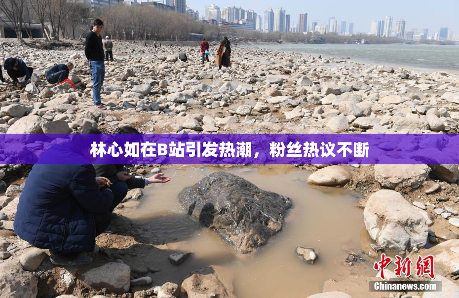 林心如在B站引发热潮，粉丝热议不断
