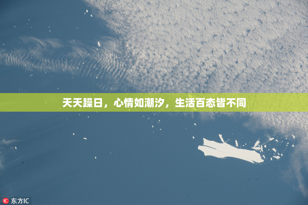 天天躁日，心情如潮汐，生活百态皆不同