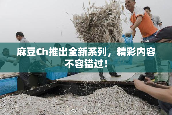 麻豆Ch推出全新系列，精彩内容不容错过！