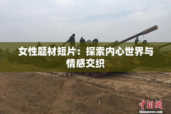 女性题材短片：探索内心世界与情感交织