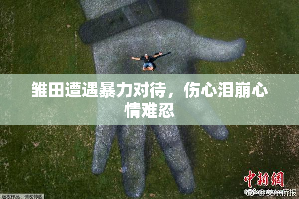 雏田遭遇暴力对待，伤心泪崩心情难忍