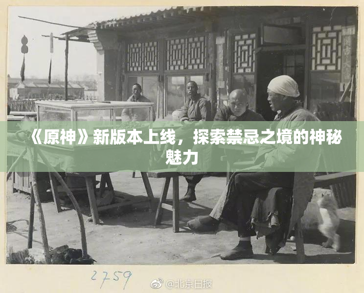 《原神》新版本上线，探索禁忌之境的神秘魅力