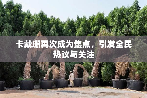 卡戴珊再次成为焦点，引发全民热议与关注