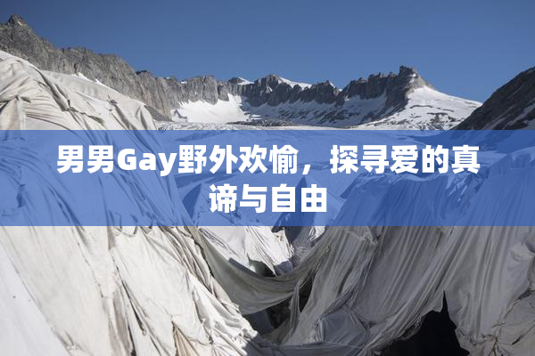 男男Gay野外欢愉，探寻爱的真谛与自由