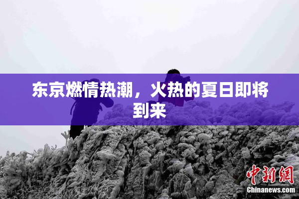 东京燃情热潮，火热的夏日即将到来