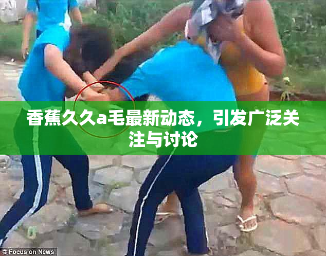香蕉久久a毛最新动态，引发广泛关注与讨论