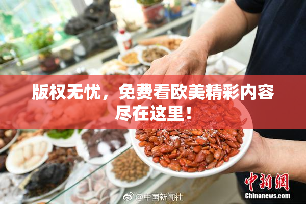 版权无忧，免费看欧美精彩内容尽在这里！