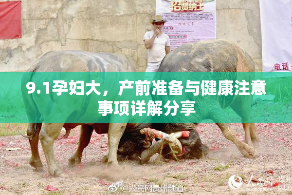 9.1孕妇大，产前准备与健康注意事项详解分享