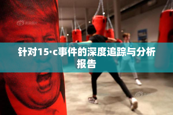 针对15·c事件的深度追踪与分析报告