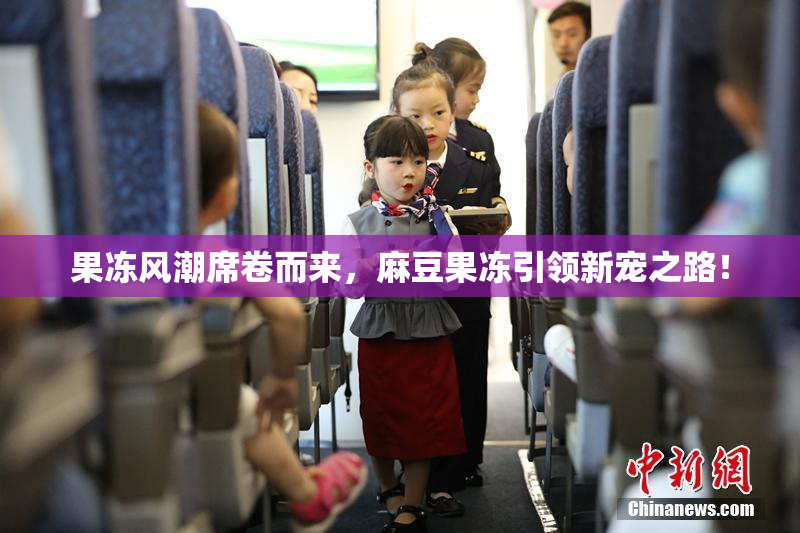 果冻风潮席卷而来，麻豆果冻引领新宠之路！