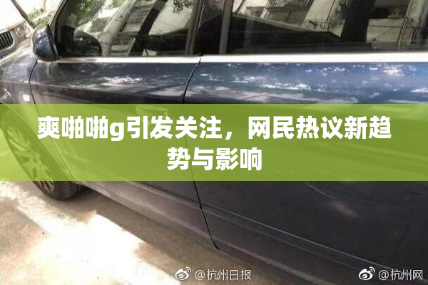 爽啪啪g引发关注，网民热议新趋势与影响
