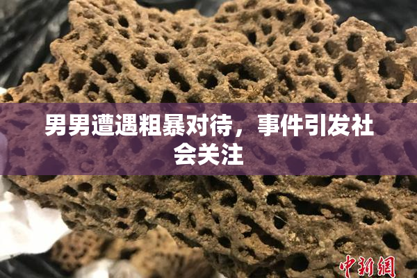 男男遭遇粗暴对待，事件引发社会关注